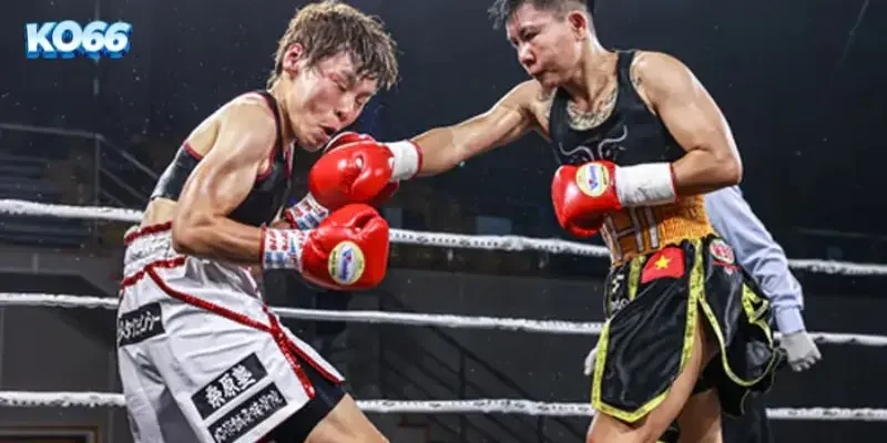 Cá Cược Quyền Anh WBC KO66: Cẩm Nang Bắt Kèo Đấm Bốc Đỉnh Cao 2 Sảnh thể thao KO66 trực tiếp các trận tranh đai WBC nảy lửa với tỷ lệ kèo minh bạch.